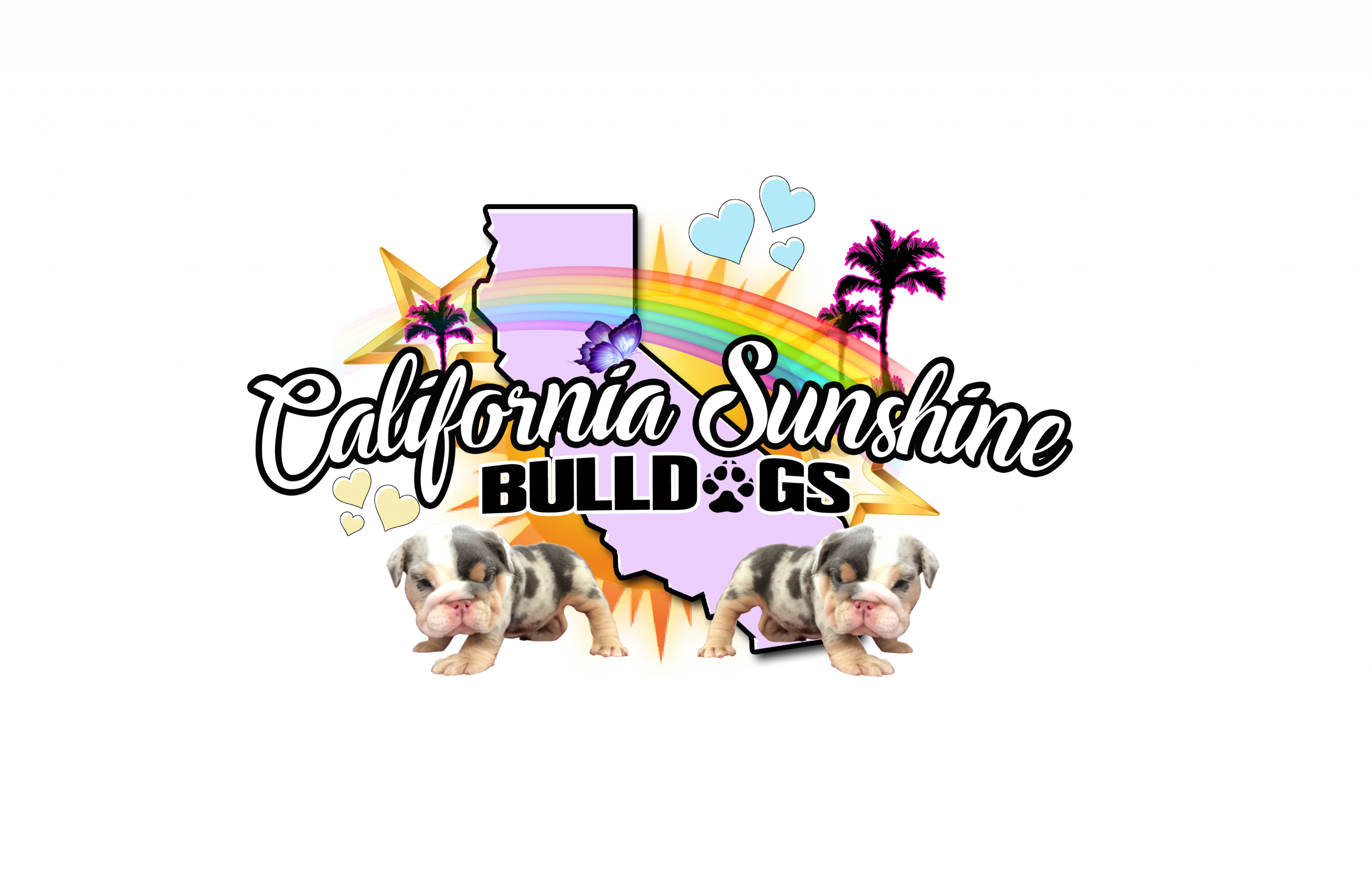 Cali Sunshine Bulldogs